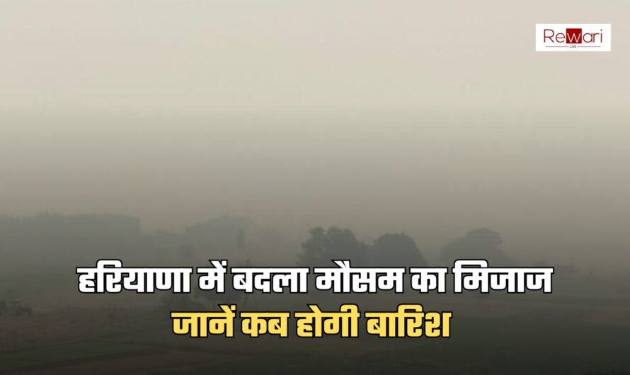 Haryana Weather: हरियाणा में बदला मौसम का मिजाज, जानें कब होगी बारिश