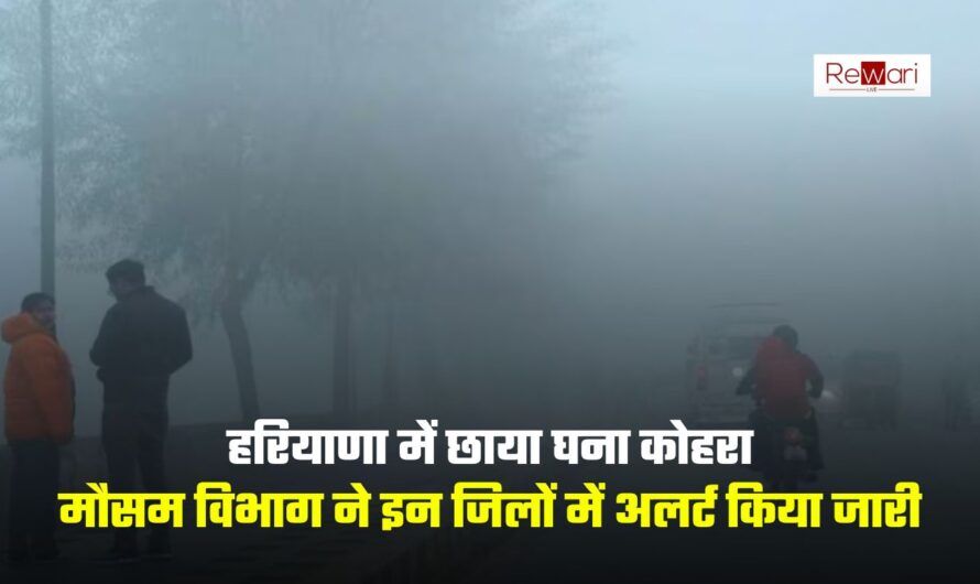 Haryana Weather: हरियाणा में छाया घना कोहरा, मौसम विभाग ने इन जिलों में अलर्ट किया जारी