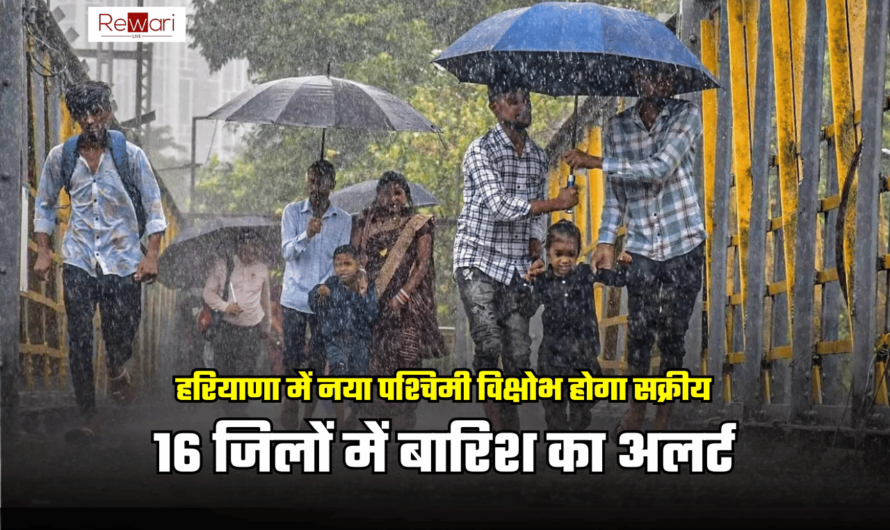 Haryana Weather Alert: हरियाणा के 5 जिलों में हुई हल्की बारिश, जानें आपके यहां कब होगी बारिश ?