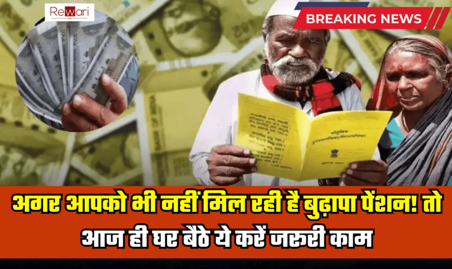 Old Pension Scheme: अगर आपको भी नहीं मिल रही है बुढ़ापा पेंशन! तो आज ही घर बैठे ये करें जरूरी काम