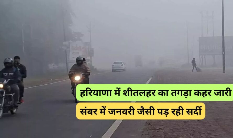 Haryana Weather: हरियाणा में शीतलहर का तगड़ा कहर जारी, दिसंबर में जनवरी जैसी पड़ रही सर्दी, जानिए आगे का हाल