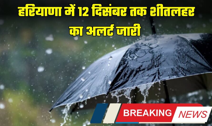 Haryana Weather Alert: हरियाणा में 12 दिसंबर तक शीतलहर का अलर्ट जारी, जानें आगे कैसा रहेगा मौसम